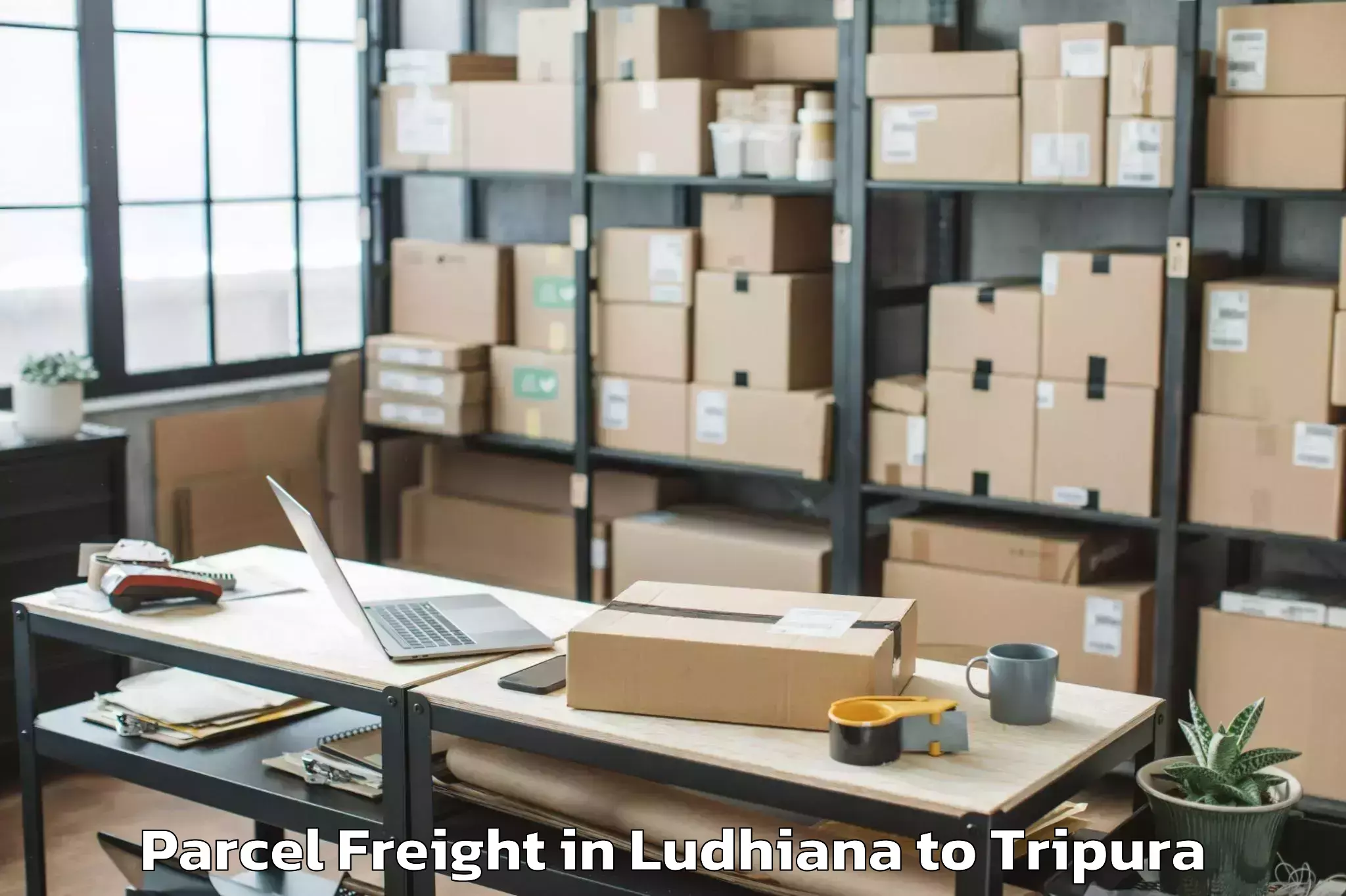 Get Ludhiana to Khowai Parcel Freight